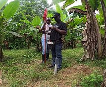 Veriground field photo